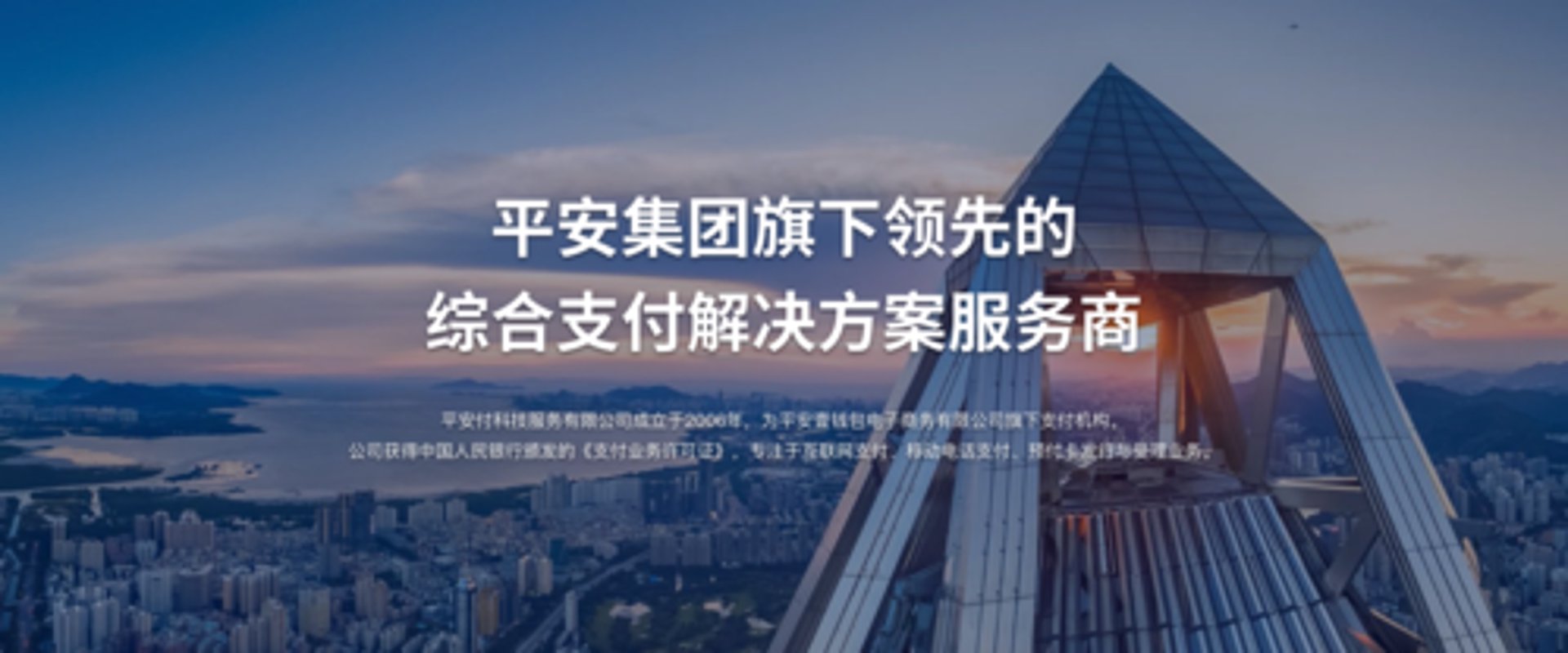 付安网络科技